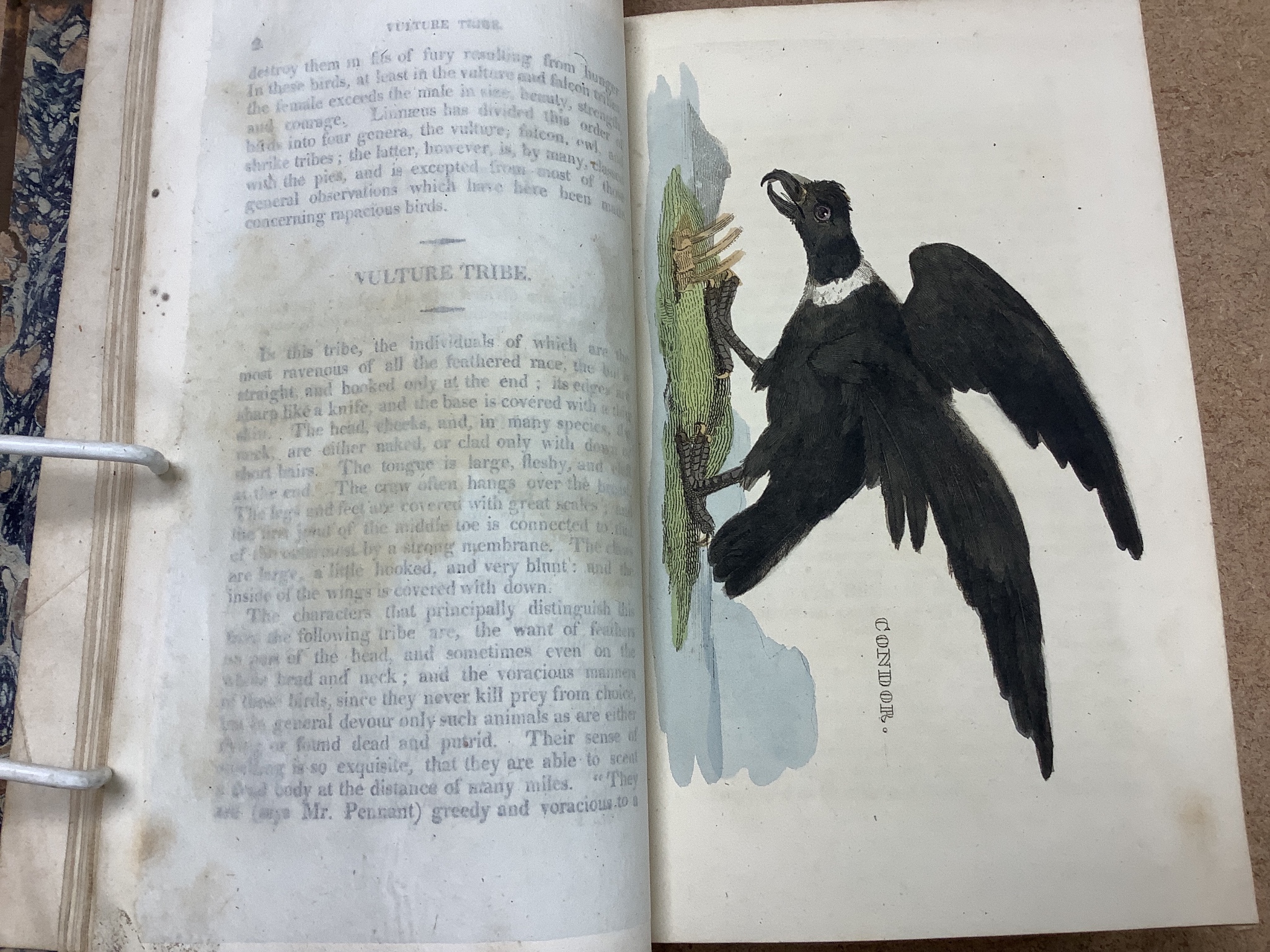 Natural- The Natural History of Birds, from the works of the Best Authors, 2 vols, 8vo, calf, joints strengthened, with 148 hand-coloured plates, Brightly and Childs, and T. Kinnersley, Bungay, 1815
